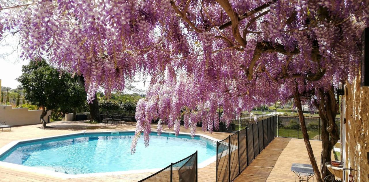 Chateau Montplaisir Charming B&B In Provence Valréas Exteriör bild