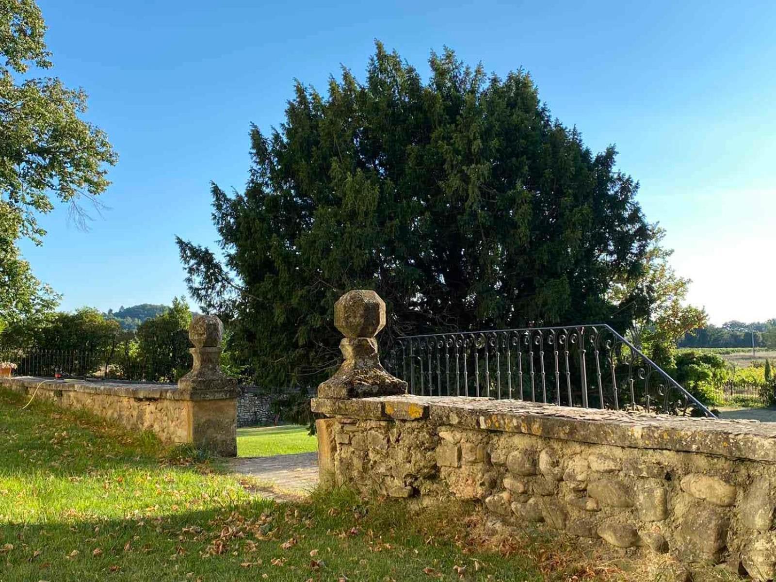 Chateau Montplaisir Charming B&B In Provence Valréas Exteriör bild